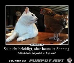 sei nicht beleidigt sei nicht beleidigt