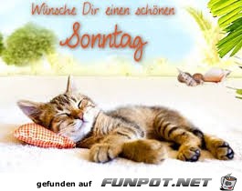 Sonntag Sonntag