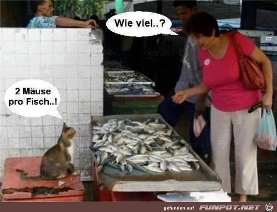 Fisch-verkauf