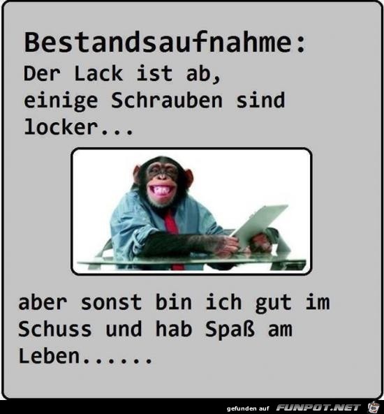 Bestandsaufnahme... Bestandsaufnahme...