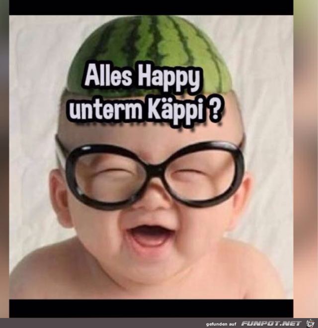 alles happy unterm Kppi