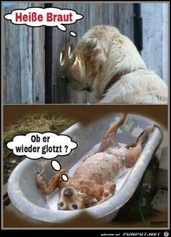 neugierig neugierig
