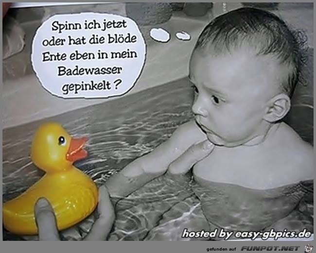 Spinn ich jetzt Spinn ich jetzt