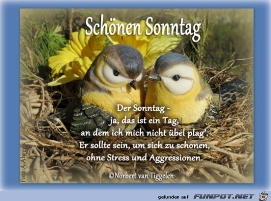 sonntag ....