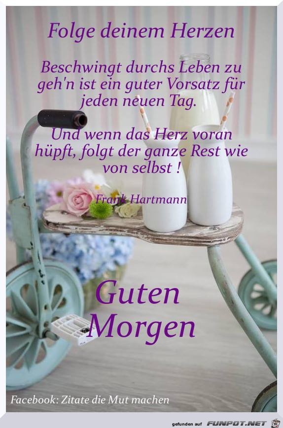 Guten Morgen Guten Morgen