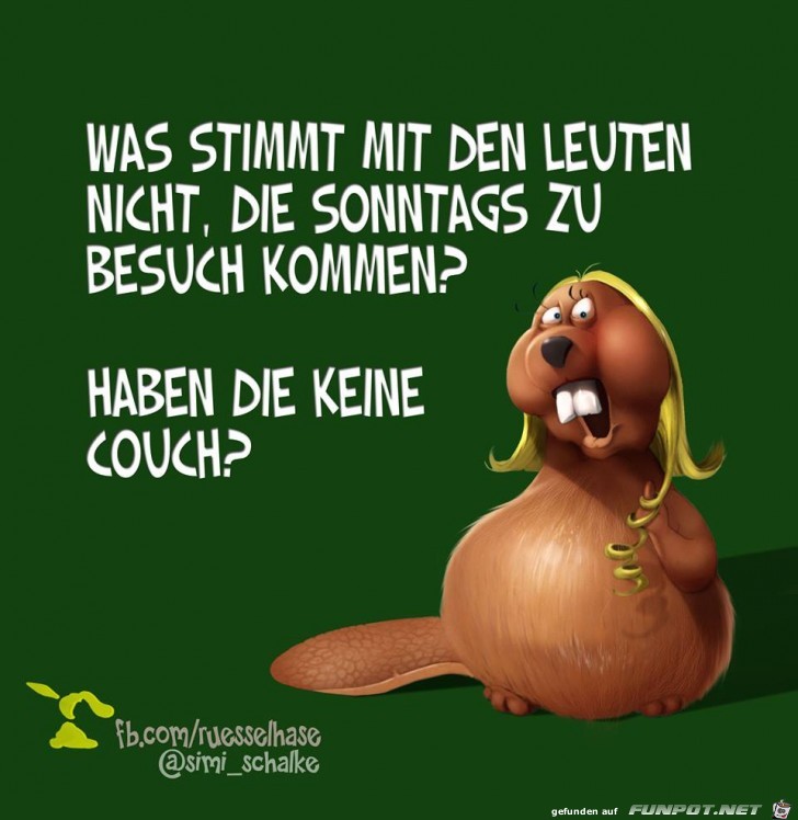Besuch kommt Besuch kommt