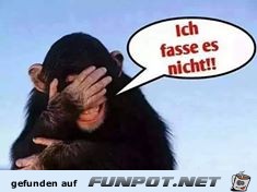 fassungslos fassungslos