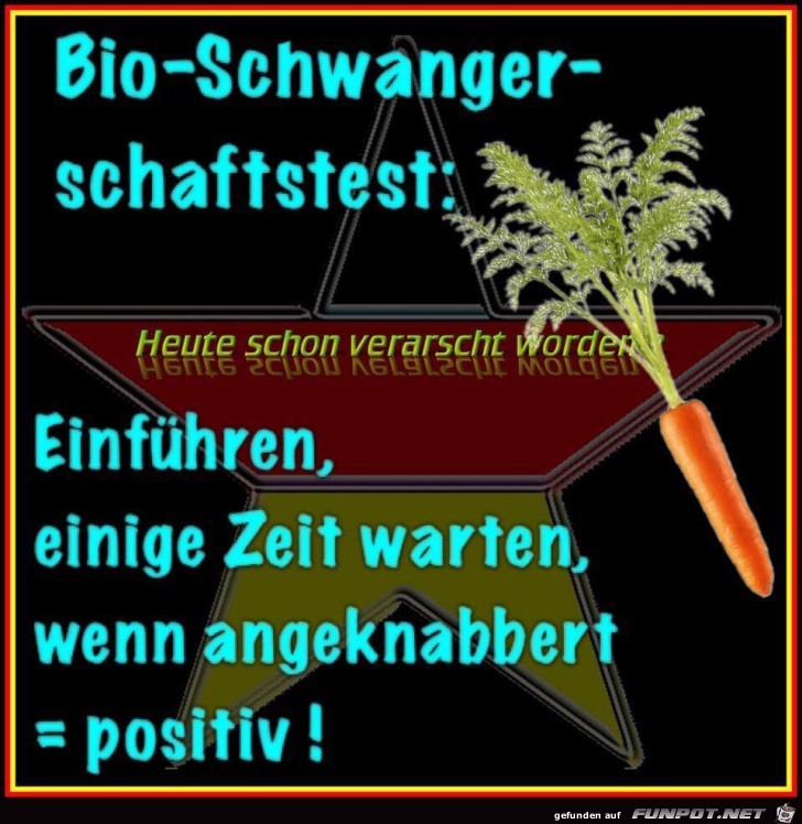 Bio-Schwangerschaftstest Bio-Schwangerschaftstest