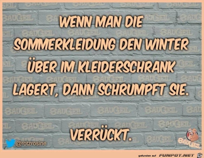 Wenn die Sommerkleidung ueberwintert Wenn die Sommerkleidung ueberwintert