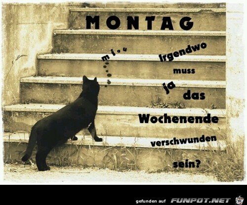 Montag