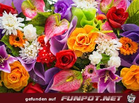 Blumenmix Blumenmix