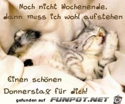 Buesi Spruch Buesi Spruch