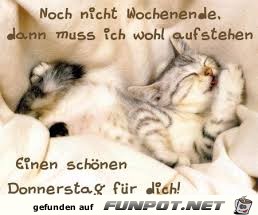 Buesi Spruch