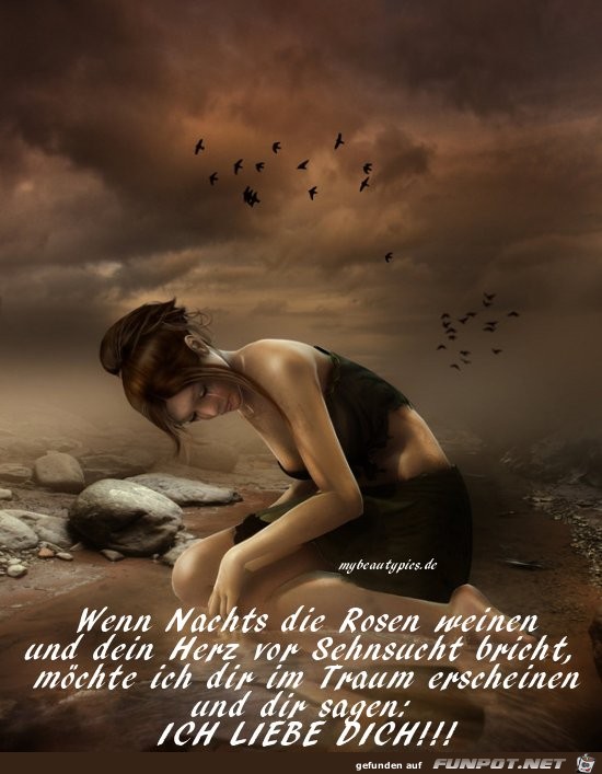 wenn Nachts die Rosen weinen...... wenn Nachts die Rosen weinen......
