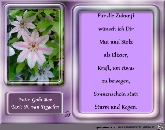 fuer die zukunft wuensch ich dir..... fuer die zukunft wuensch ich dir.....