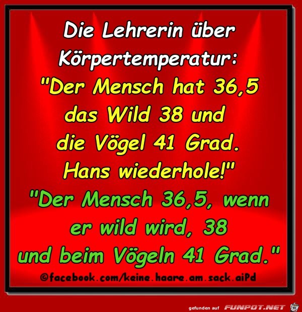 Koerpertemperatur Koerpertemperatur