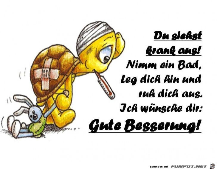 gute besserung gute besserung