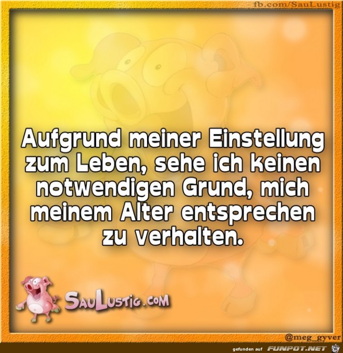 Aufgrung-meiner-Einstellung-zum-Leben Aufgrung-meiner-Einstellung-zum-Leben