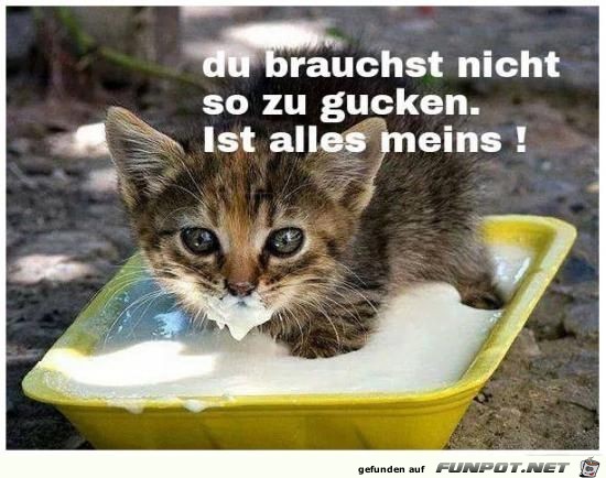 Nicht so gucken Nicht so gucken