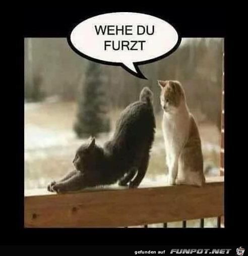 Wehe Wehe