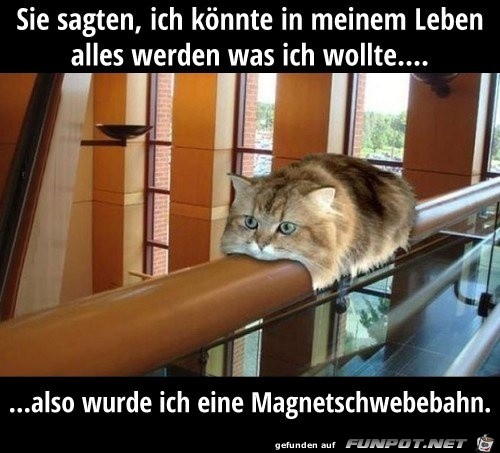 Sie sagten Sie sagten