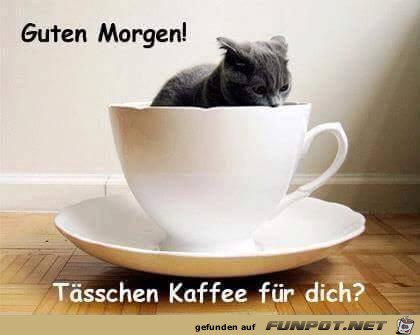 Guten Morgen