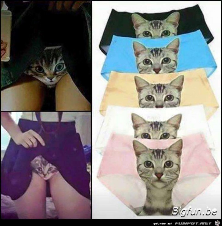 Underwear Underwear