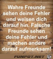 wahre Freunde sehen deine Fehler......