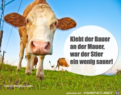 Wenig sauer Wenig sauer