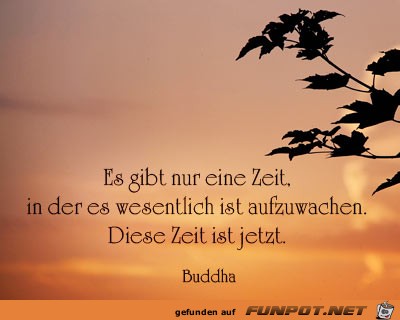 es gibt nur eine Zeit... es gibt nur eine Zeit...