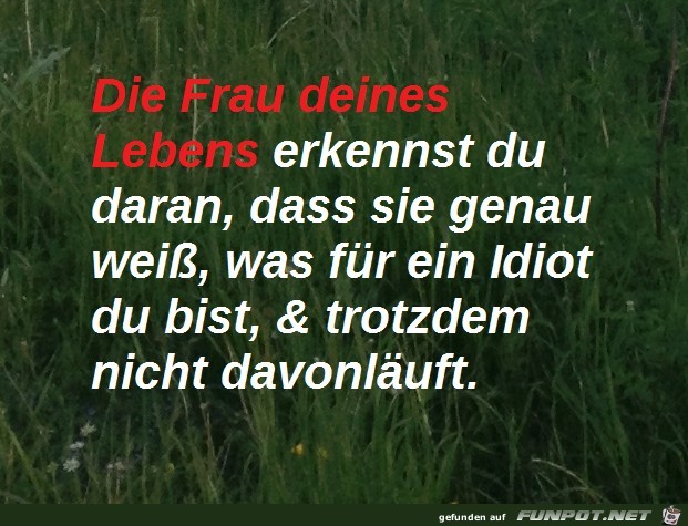 Die Frau deines Lebens Die Frau deines Lebens