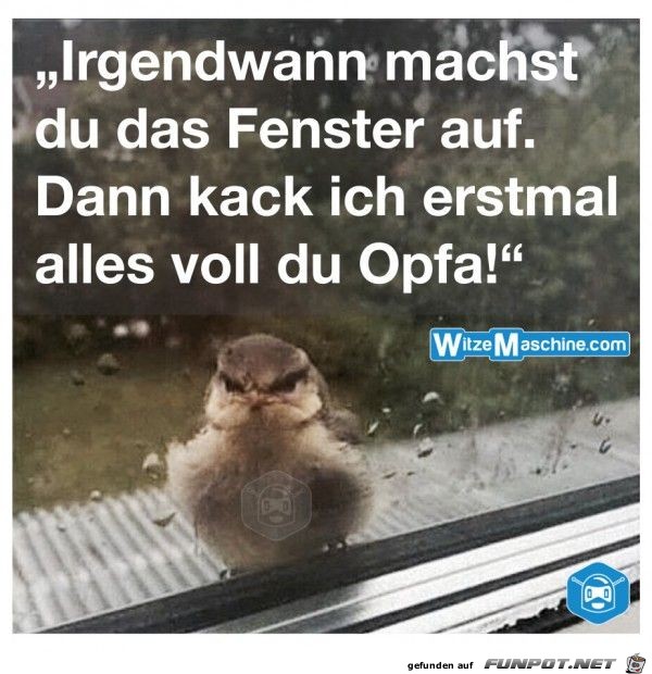 Fenster auf