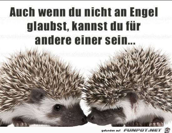 Wenn du nicht an Engel glaubst