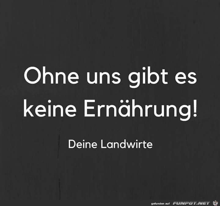 Keine Ernaehrung Keine Ernaehrung