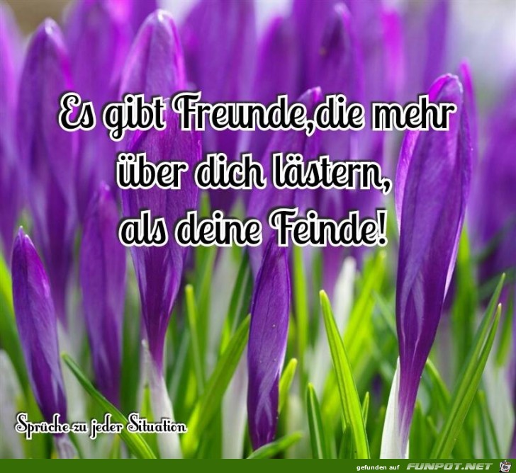 Laesternde Freunde Laesternde Freunde