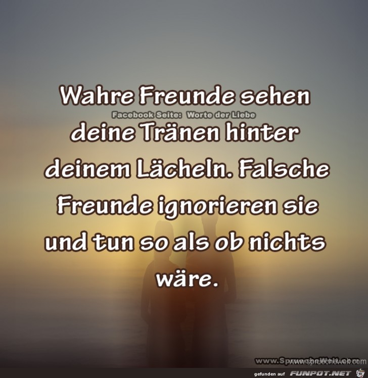 wahre Freunde sehen deine Traenen.....