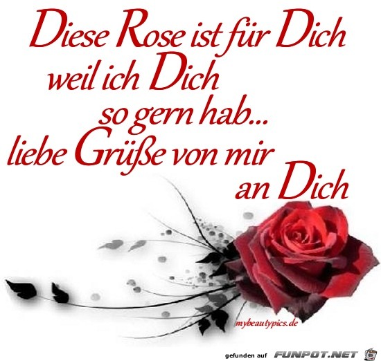 diese Rose ist fuer dich.....