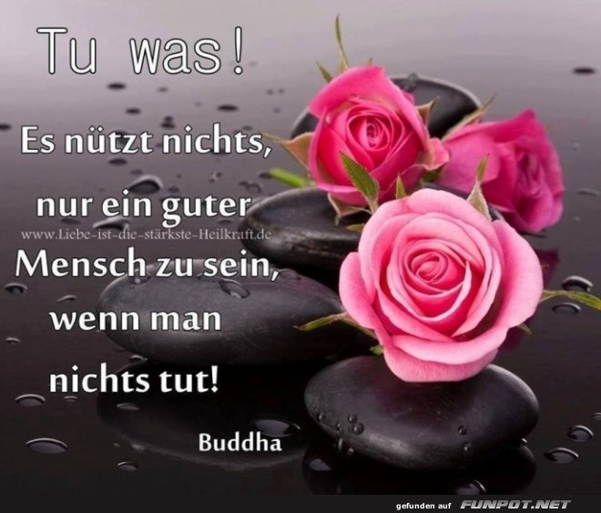 10 sch�ne Spr�che und Lebensweisheiten aus...
