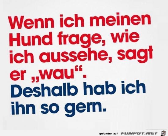 wenn ich meinen Hund frage.....