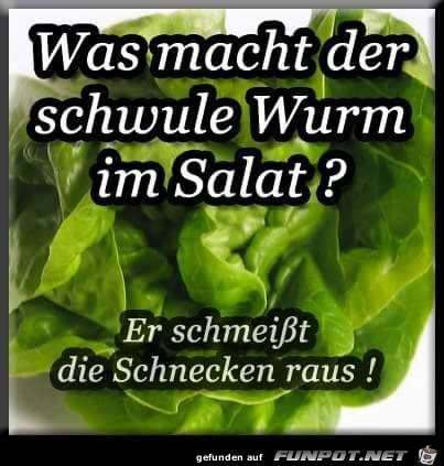 Er schmeisst die Schnecken raus Er schmeisst die Schnecken raus
