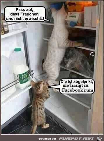 erwischen erwischen