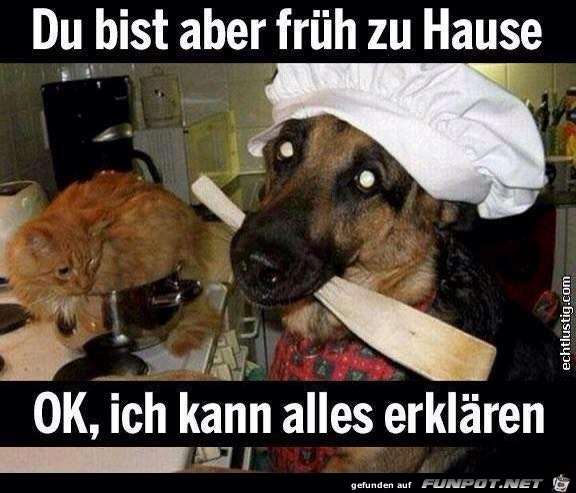 Bist frueh zu Hause