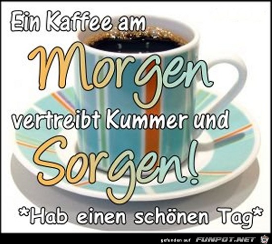 guten morgen 40