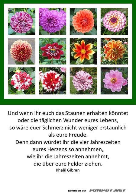 Vier Jahreszeiten Vier Jahreszeiten