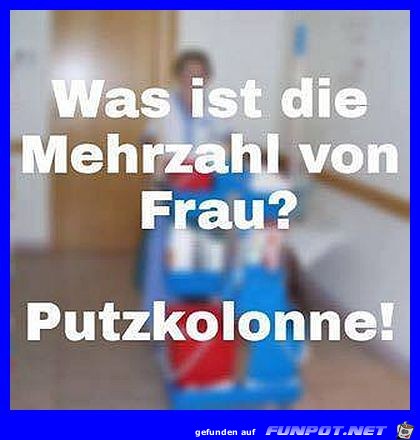 Was ist die Mehrzahl von Frau