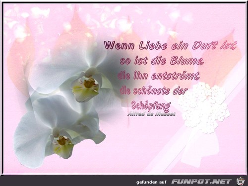 Blueten-spruch