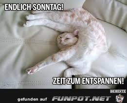 Sonntag Büsi Sonntag Büsi
