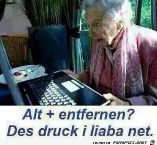 liaba net liaba net