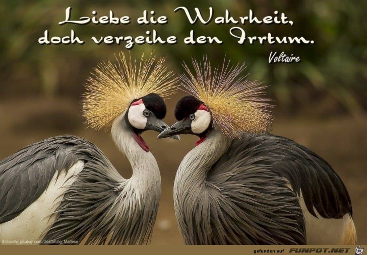 Liebe die Wahrheit