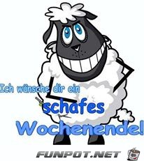 schafes schafes